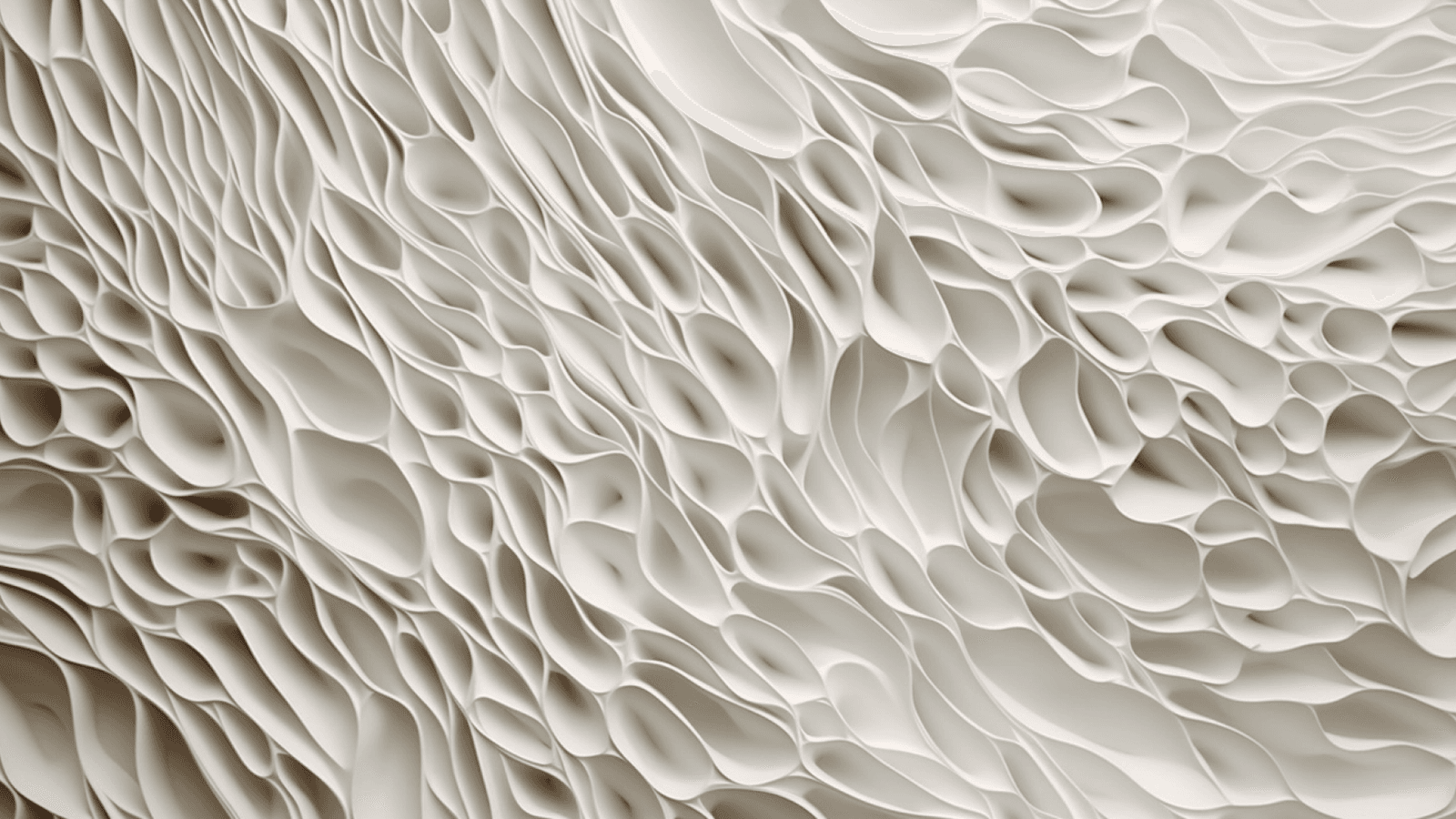 IM Digital Expands to New York City, Bringing Innovative E-commerce Services to the Big Apple - featured image