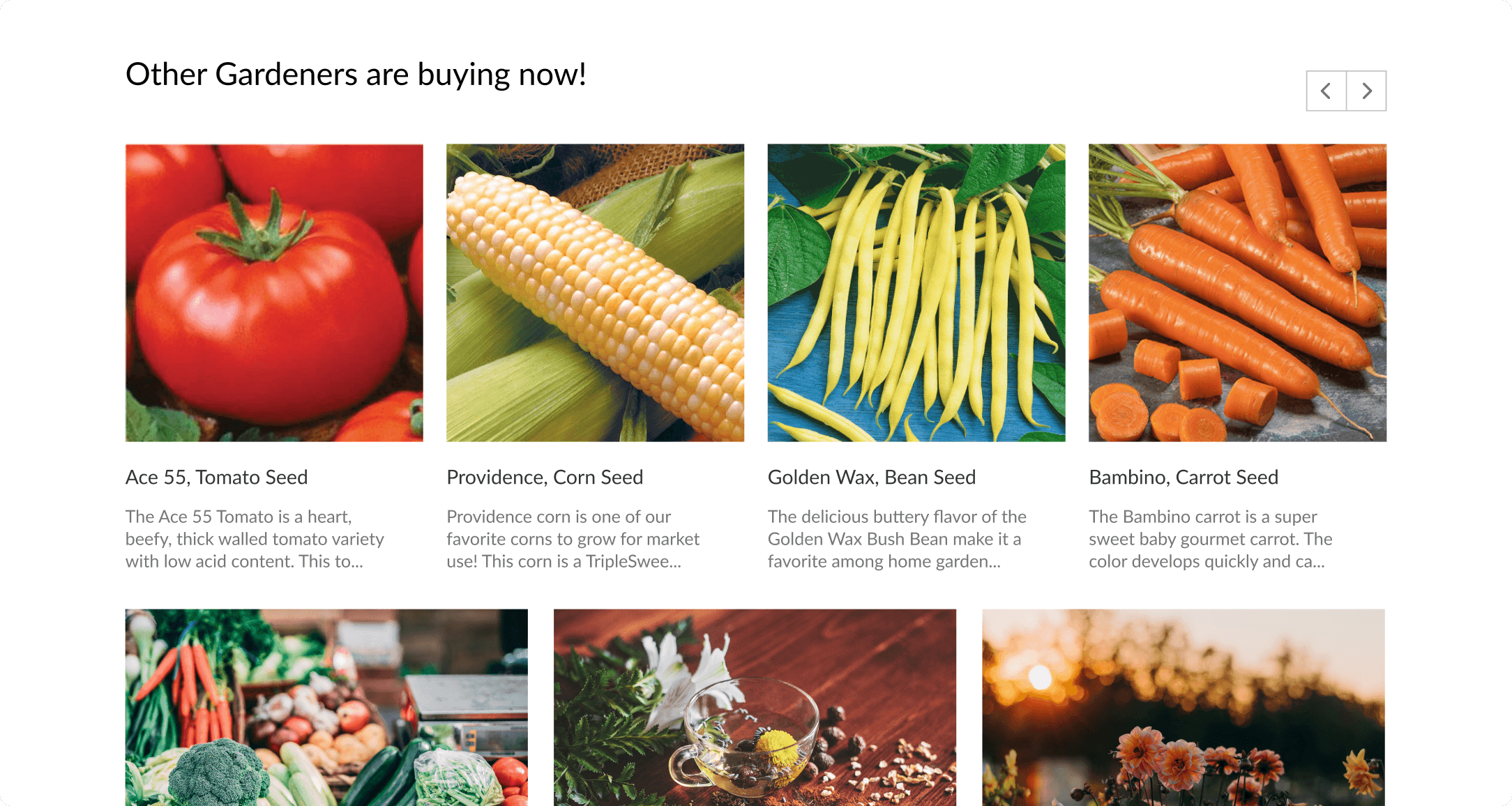 Urban Farmer Other Gardeners are buying now carousel featuring tomato, corn, bean, and carrot seed cards with descriptions