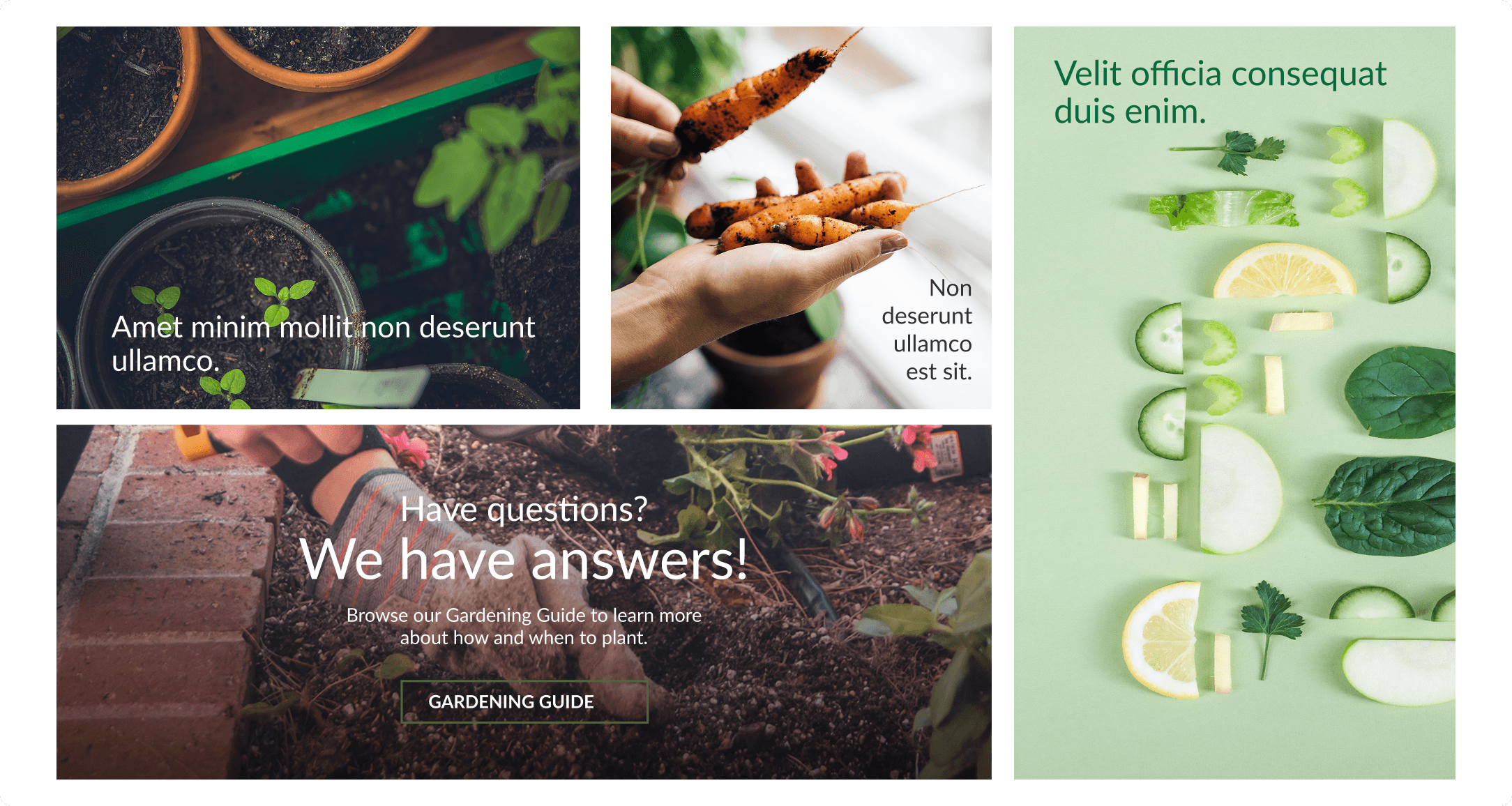 Urban Farmer homepage content grid with gardening tips tiles, a seedling close-up, and a gardening guide call-to-action panel